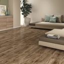 CERAMICA CECAFI ALBERO PIANTA PLUS C1 (20*60) 1.70 M2 (48CJS*P)