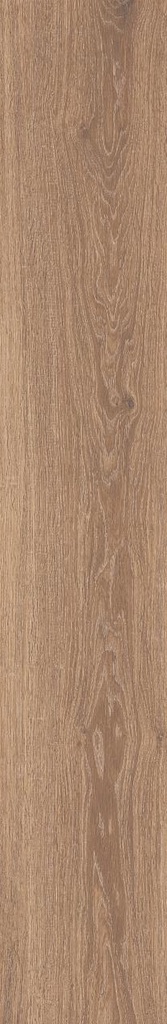 PORC ELIANE ROVERE AVELA AC 3D C1 (19.7*120) 1.65 M2