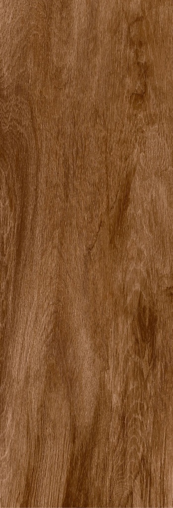 CERAMICA CECAFI ALBERO PIANTA PLUS C1 (20*60) 1.70 M2 (48CJS*P)
