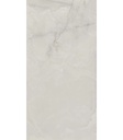 PORCELANATO TIMELESS SGR POL (60*120) 1.37 M2  (02052103)   
