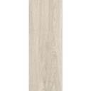 CERAMICA CSL ALAMO GRIS BRILLANTE C1 (20*61) 1.86 M2