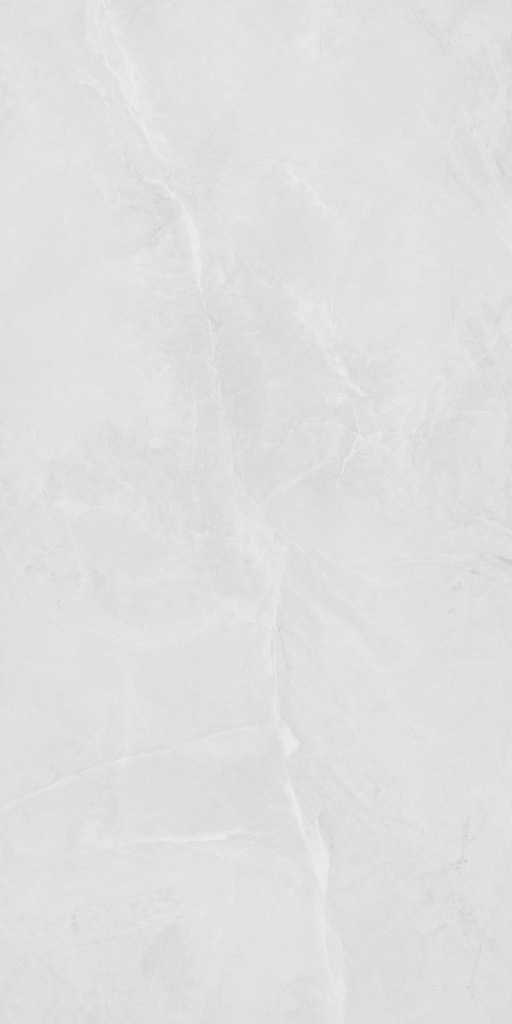 PORC.HAL PRECIOUS WHITE PUL PA01 C1 (60*120) 1.44 M2
