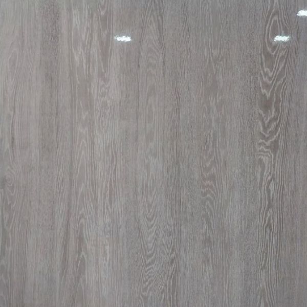 CERAMICA TREN ELSJ66028 C1 (60*60) 1.44 M2