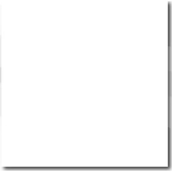 PORCELANATO ECU AGORA BLANCO BRILLANTE RECT STD (60*60) 1.80 MT