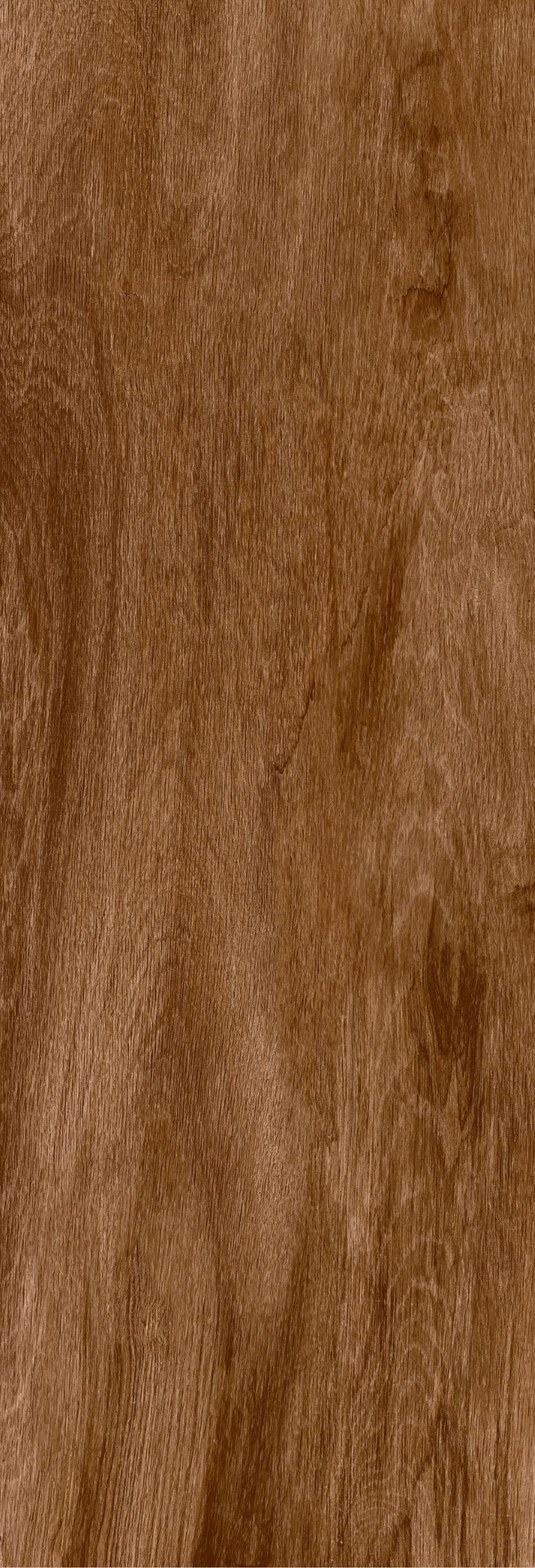 CERAMICA CECAFI ALBERO PIANTA PLUS C1 (20*60) 1.70 M2 (48CJS*P)